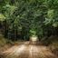 Dirt Road Discussions Avatar