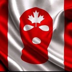 QANDIDATE 17 avatar