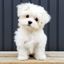 Cute and Fun Videos 🥰 Avatar