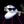 /g/‘s Tech Memes avatar