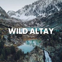 WILD RUSSIANS | АЛТАЙ avatar