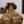 Sabbath_0f_informals avatar