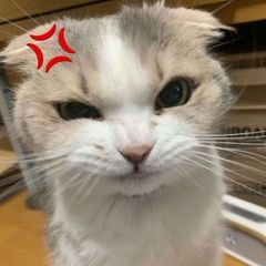 ห ๐๐บ๐
๐
๐๐บ๐๐พ๐ ๐
๐๐๐๐ผ๐๐พ๐ . avatar