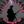 Iwillkillhere avatar