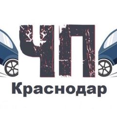 ЧП Краснодар™ avatar