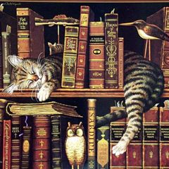 Страницы забытых книг avatar