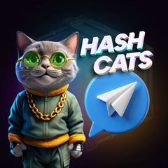 HashCats Official Channel avatar