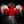 Canada First (main) avatar