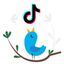 Twitter и TikTok Avatar