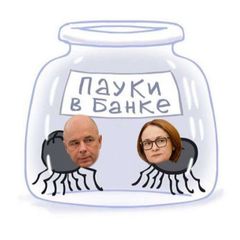 Пауки в банке avatar