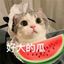 🍉吃瓜搞笑猎奇中心🌚 Avatar