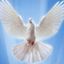 BYRDIE🎵SINGS TRUTH - 218 Avatar