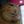 The JQ avatar