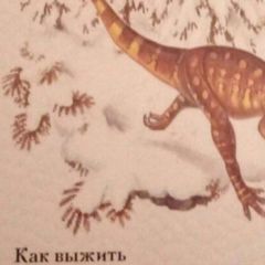 КАК ВЫЖИТЬ avatar