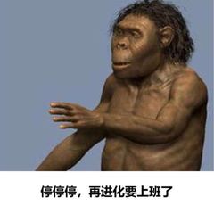 👀吃瓜猎奇段子 avatar