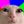 Autism Memes avatar