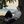 stick`s . yonmi avatar