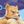 BUFF&HYPER FURS avatar