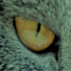 ВИЙ.Ukraine avatar
