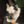 ibsen fanclub avatar