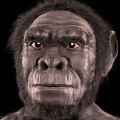 HomoHabilis avatar