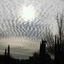 Chemtrails/Haarp/Wettermanipulation Avatar