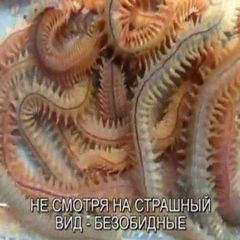 мерзкие вещи confession avatar