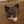 Котэкшн avatar