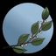 Holistische Gesundheit Avatar