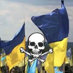 МЕРТВЫЕ УКРОПЫ avatar