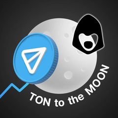 TON MOON 🚀🌒 avatar
