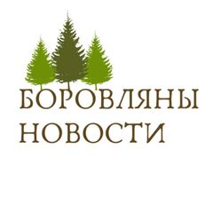 Боровляны | Новости avatar