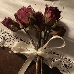 "فتاة برائحة الكتب"🦋. avatar