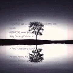 Watching & Waiting avatar