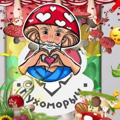 Мухоморыч🍄 avatar