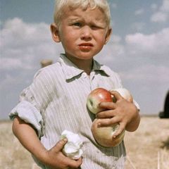 Пресс-служба Яблока avatar