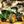🚜 No FARMERS No FOOD No FUTURE avatar