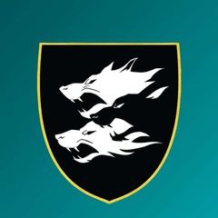 Перемога любить вірних | 38UA avatar