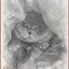Серый kotъ avatar