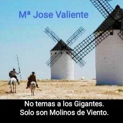 Maria Jose Valiente avatar