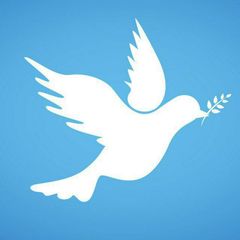 Christian Dahlmann - Jurist und Bürgerrechtsaktivist avatar