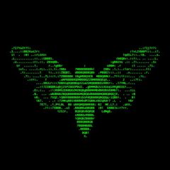 zicelaqo avatar