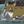 No time for Third Impact avatar