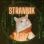 Strannik | ModZ 🔥 Avatar