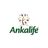 ANKALIFE ANDIJON CHAT