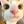 Real Pisi Imagery avatar