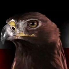 GlobalPatriotMEMES 💣 avatar