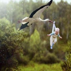 Ўтмишга саёҳат avatar