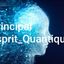 Esprit Quantique Principal Avatar