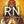 Rerum Novarum // Intel, Breaking News, and Alerts avatar